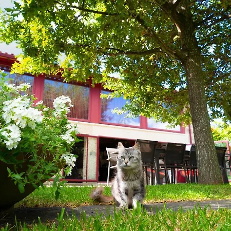 Tatil Evi Casa Castanhas - Near Geres *