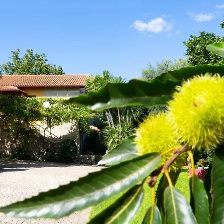 Dom wakacyjny Casa Castanhas - Near Geres Braga