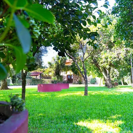 Casa Castanhas - Near Geres Braga