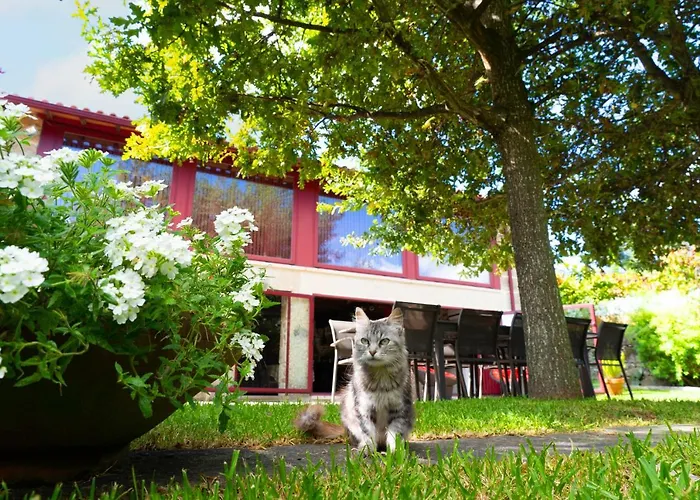 度假居 Casa Castanhas - Near Geres *