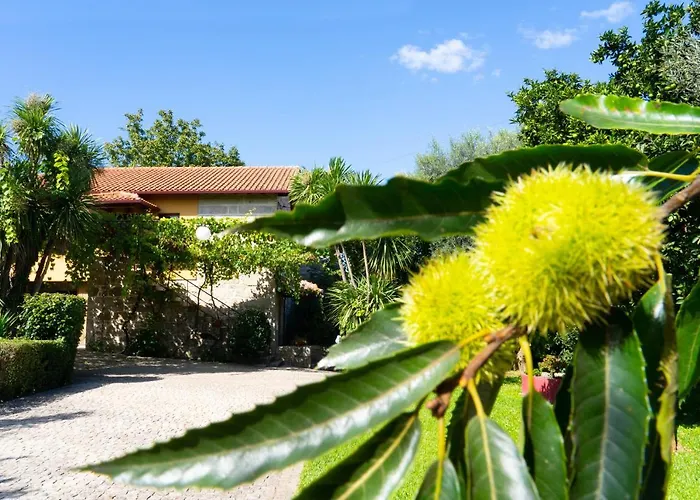 Ferienhaus Casa Castanhas - Near Geres Braga